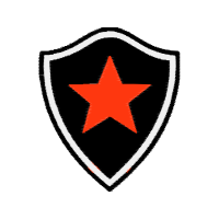 Botafogo Futebol Clube Wedding Botafogo Futebol Clube Wedding