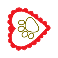 Bracelet Wedding Bracelet Wedding