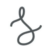 Buckhead Pediatric Dentistry Wedding