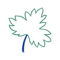 Cable Management Wedding