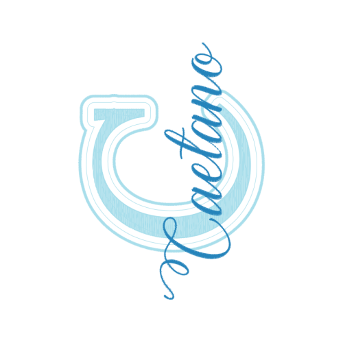 Calligraphy Wedding Calligraphy Wedding