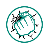 Canaima National Park Wedding Canaima National Park Wedding