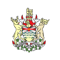 Cartoon Wedding Cartoon Wedding