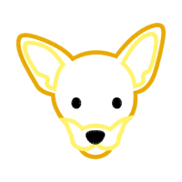 Cat Wedding Cat Wedding