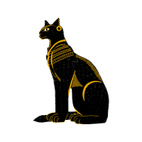 Cat Wedding Cat Wedding