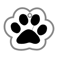 Cat Wedding Cat Wedding