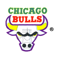 Chicago Bulls Wedding Chicago Bulls Wedding