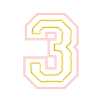 Chicago Bulls Wedding