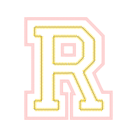 Chicago Bulls Wedding