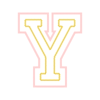 Chicago Bulls Wedding