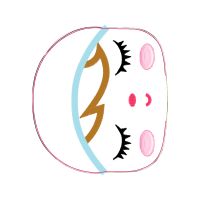 Circle Wedding Circle Wedding