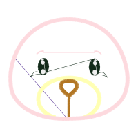 Circle Wedding Circle Wedding