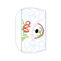 Circle Wedding Circle Wedding