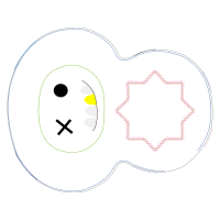 Circle Wedding Circle Wedding