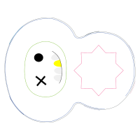 Circle Wedding Circle Wedding