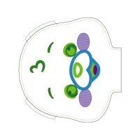 Circle Wedding Circle Wedding