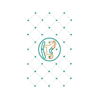 Circle Wedding Circle Wedding