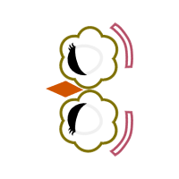 Circle Wedding Circle Wedding