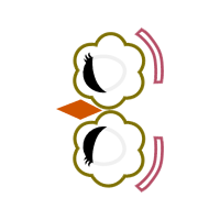 Circle Wedding Circle Wedding