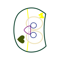 Circle Wedding Circle Wedding