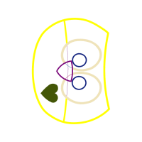 Circle Wedding Circle Wedding