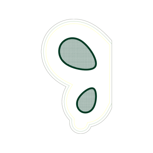 Circle Wedding Circle Wedding