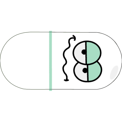 Circle Wedding Circle Wedding