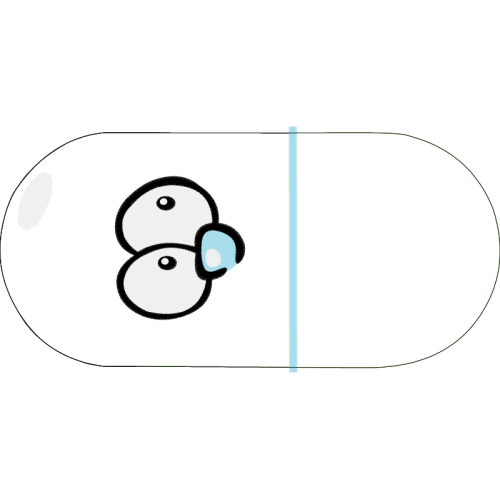 Circle Wedding Circle Wedding