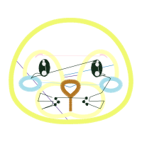 Circle Wedding Circle Wedding