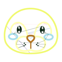 Circle Wedding Circle Wedding