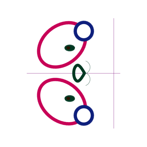 Circle Wedding Circle Wedding