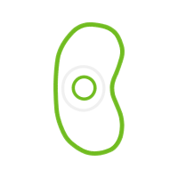 Circle Wedding Circle Wedding