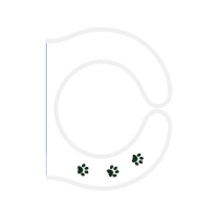 Circle Wedding Circle Wedding