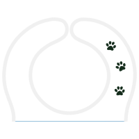 Circle Wedding Circle Wedding