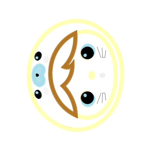 Circle Wedding Circle Wedding