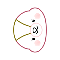 Circle Wedding Circle Wedding