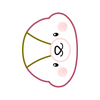 Circle Wedding Circle Wedding