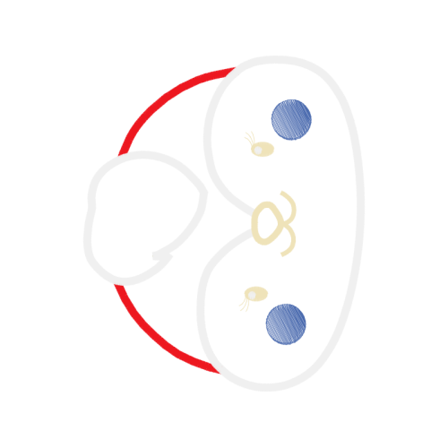 Circle Wedding Circle Wedding