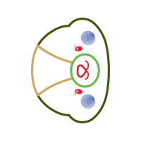 Circle Wedding Circle Wedding