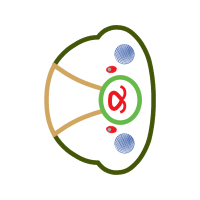 Circle Wedding Circle Wedding