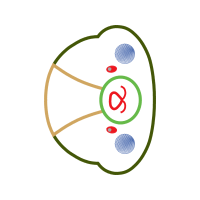 Circle Wedding Circle Wedding