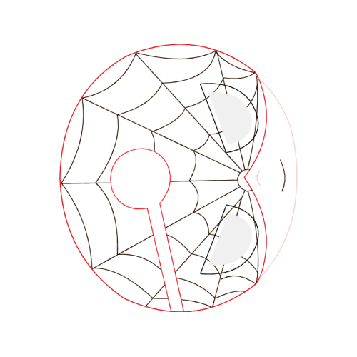 Circle Wedding Circle Wedding