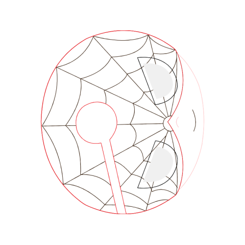 Circle Wedding Circle Wedding