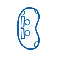 Circle Wedding Circle Wedding