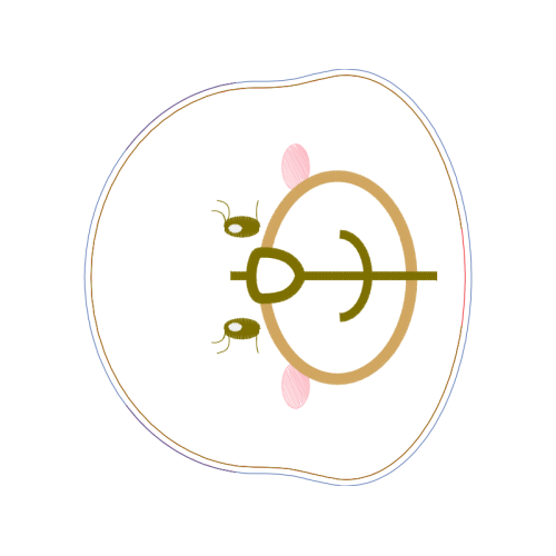 Circle Wedding Circle Wedding