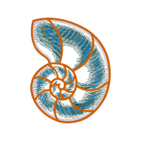 Circle Wedding Circle Wedding