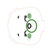 Circle Wedding Circle Wedding