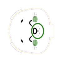 Circle Wedding Circle Wedding