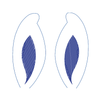 Circle Wedding Circle Wedding