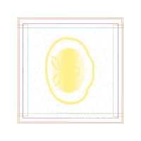 Circle Wedding Circle Wedding